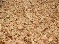 Dřevo - výrobky