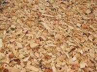 Wood Chips From Pine and Oak