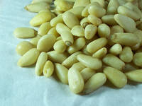 Kacang-kacangan dan kernel