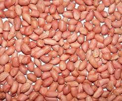 Kacang-kacangan dan kernel