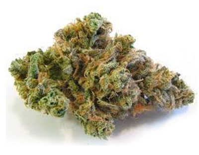 Blue Dream - Care Givers of San Jose