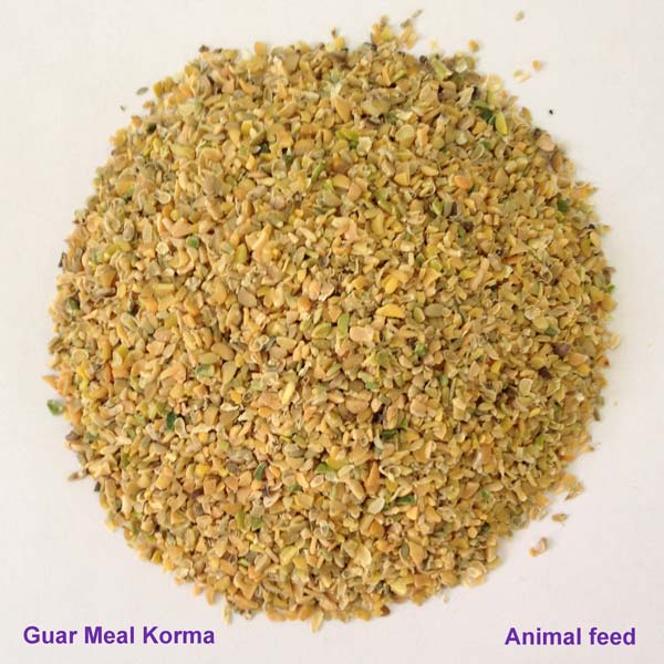 GUAR MEAL KORMA (own manufacturing unit)