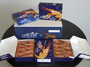 Udang