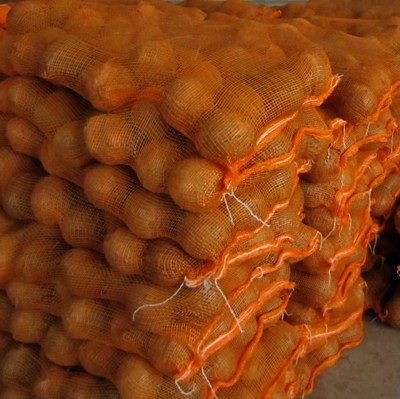 Fresh Mature Coconut Fruit