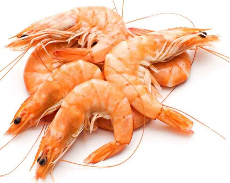 Shrimp, fresh, prepared