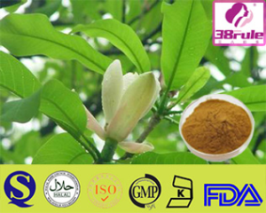 Corydalis Tuber Extract