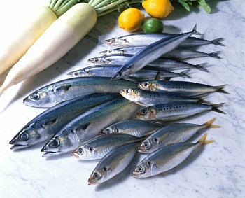 Sardines