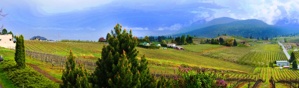 Los vinos, los fabricantes