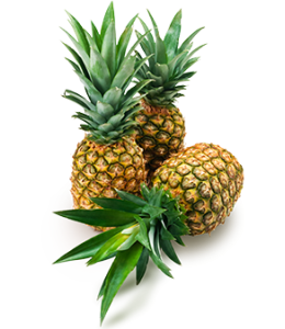 LaLydia Pineapples