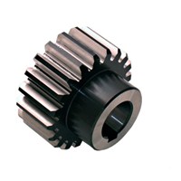 Spur Gear