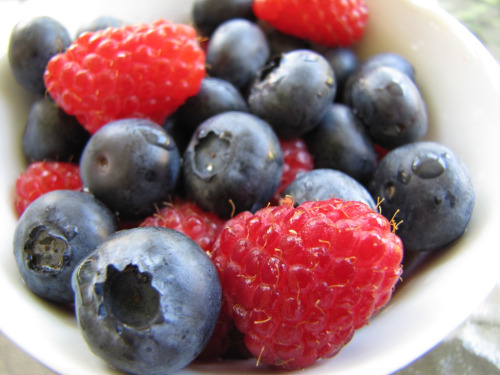 Blueberries, mashamba