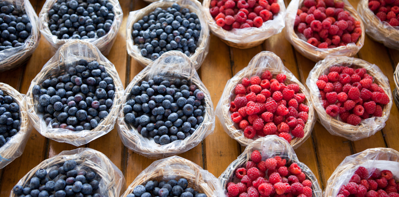 Blueberries, mashamba