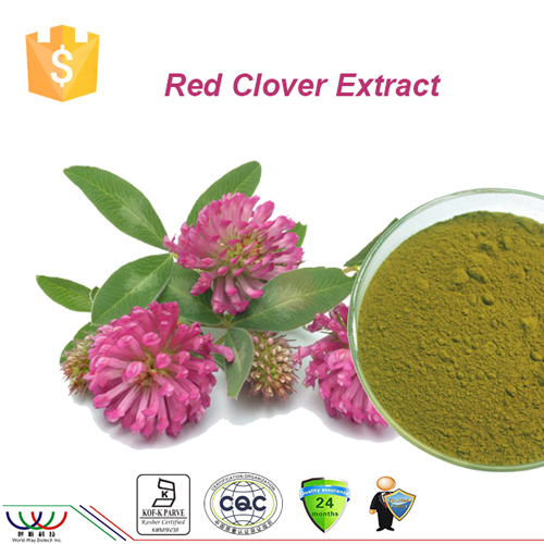 Plantenextract