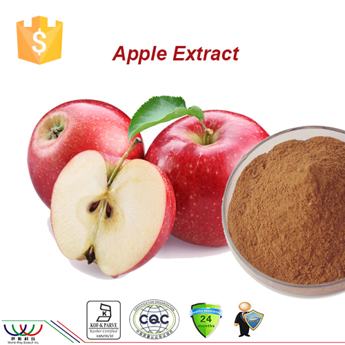 Pure natural antioxidant cosmetics ingredient apple extract