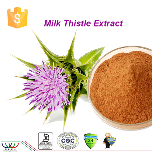 Pure natural liver protection ingredient milk thistle extract