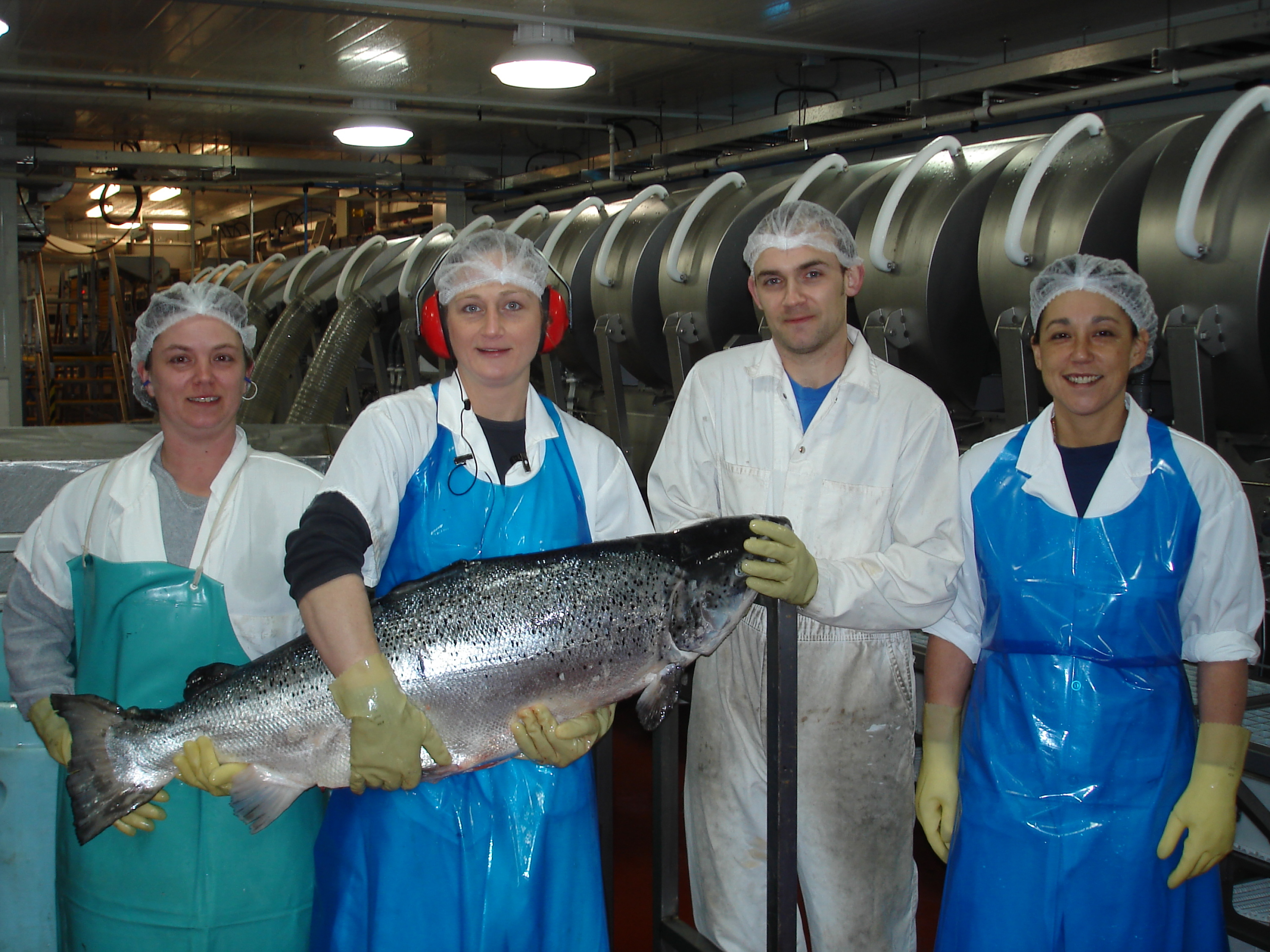 Serviços de embalagem para peixe e frutos do mar