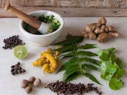 Ayurvedic Herbs for Joint Pain and Stress