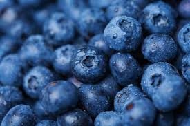 blueberries کے، کھیتوں