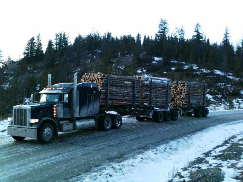 Transport av tømmer i skogen