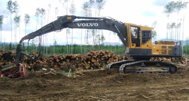 Serveis relacionats amb l'explotació forestal