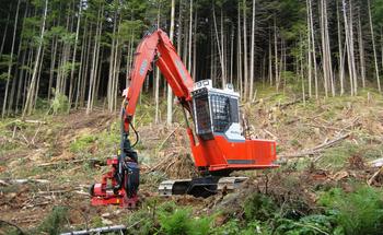 Servicios de explotación forestal