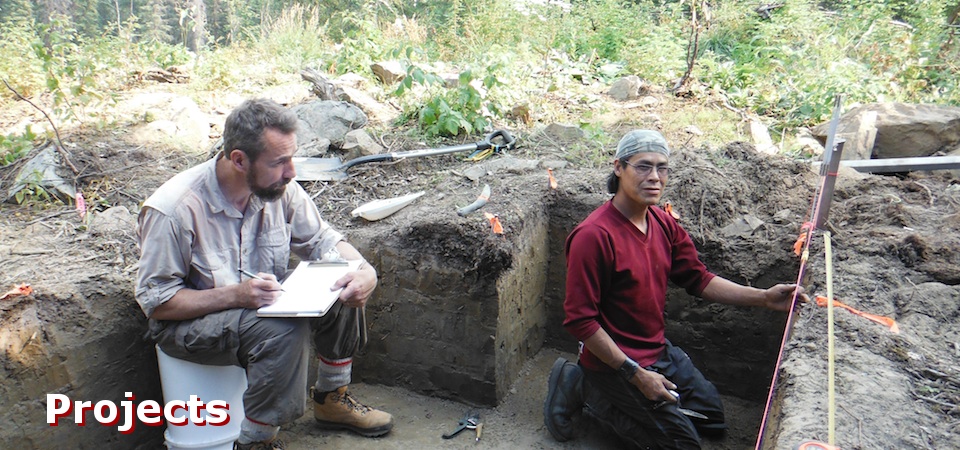 Arkæologiske tjenester