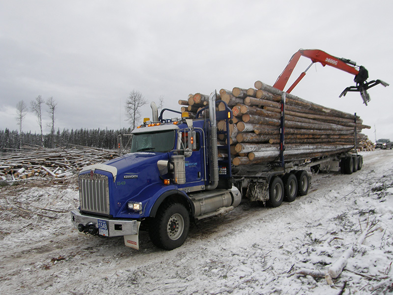 Transport of logs within the forest