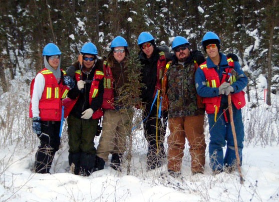 Servicios de gestión de recursos forestales