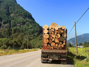 Pengangkutan log dalam hutan