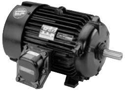 Marathon Motor