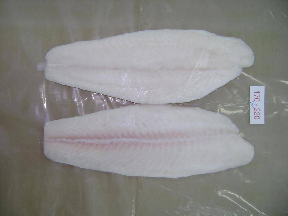 의 Pangasius 필레