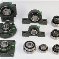 UCFL200 Bearing