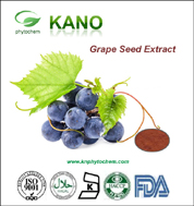 Kano Phytochem Offering Grape seed Extract 95%OPC 