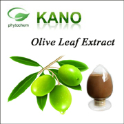 Olive Leaf Extract Oleuropein 10%-60%,Hydroxytyrosol 10%-40%