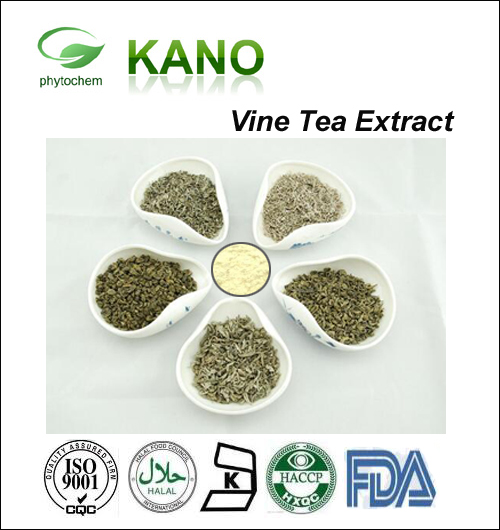 Vine Tea Extract 40%-98% Dihydromyricetin by HPLC