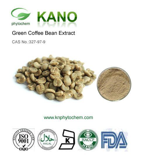 Green Coffee Bean Extract 10%-50% Chlorogenic Acid