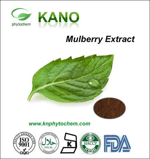 Mulberry Leaf Extract 1%,2%DNJ