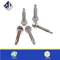 Tapping Screw