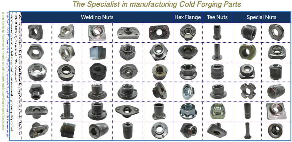 Fastener Nuts