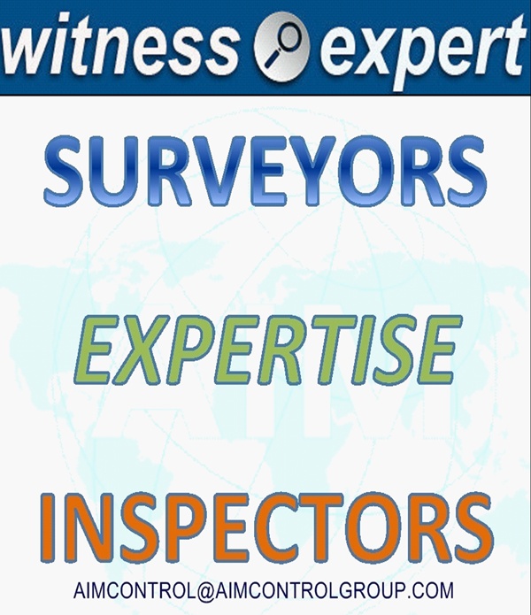 SURVEYORS EXPERTS CONSULTANT