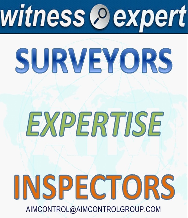 Surveyors - խորհրդատուները