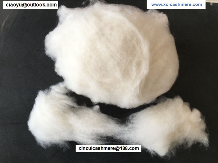 Chinese White Dehaired Cashmere Fibre