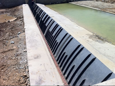 Shield Type Rubber Dam