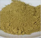 Cassia Tora Powder