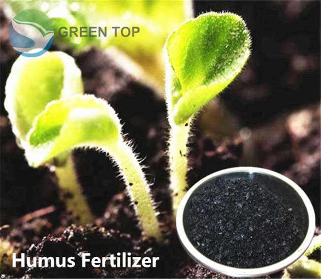 Lupa modifizer humic