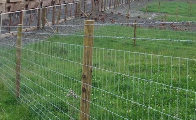 Телена ограда под формата на халки
