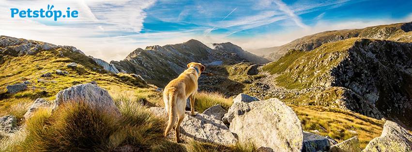 Els aliments per a mascotes