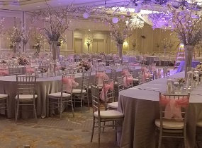 ALL SEASONS PARTY LINEN RENTAL