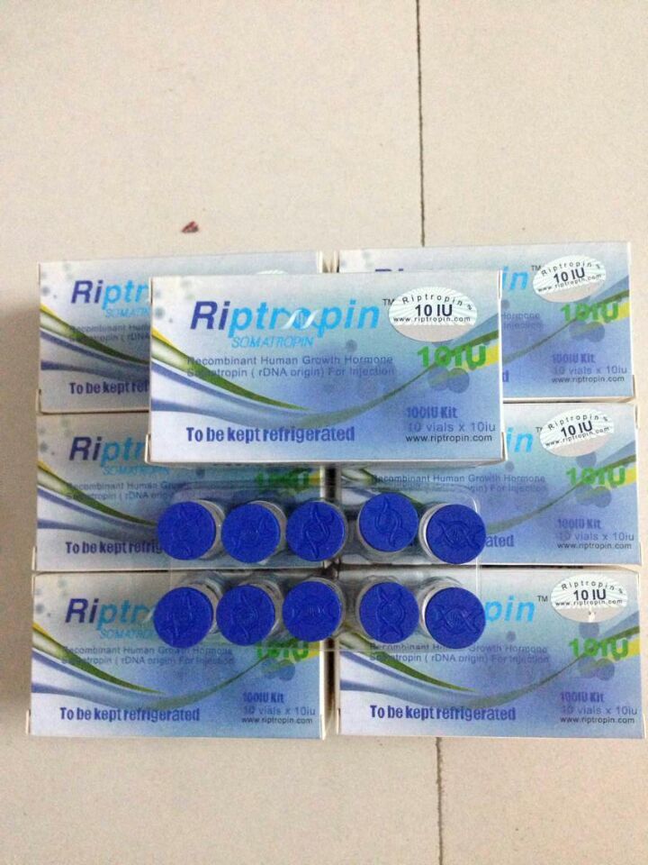 Legal Riptropin(100iu/Kit) Peptides Human Growth Hormone White Freeze - Dried Powder For Anti - Aging From Rongxin