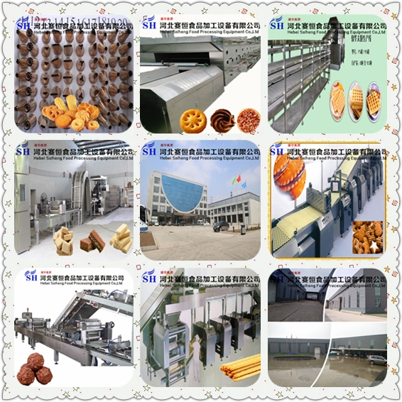 Hebei Saiheng Food Processing Equipment Co.,Ltd